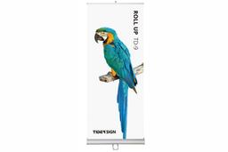 Foto2: PROdisplay RollUp double sides TD-9 - 100 x 200 cm