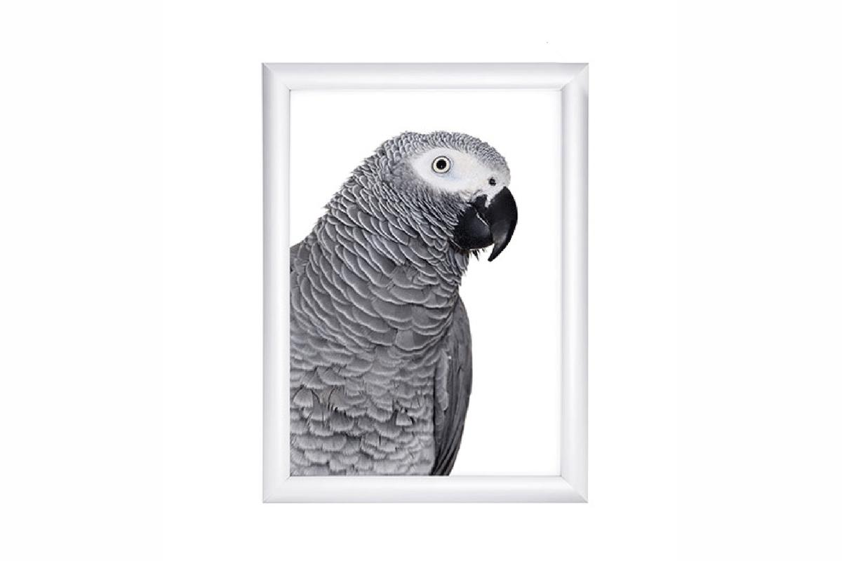 Foto1: profiwelt PROdisplay Snap Frame TV-4 - A4