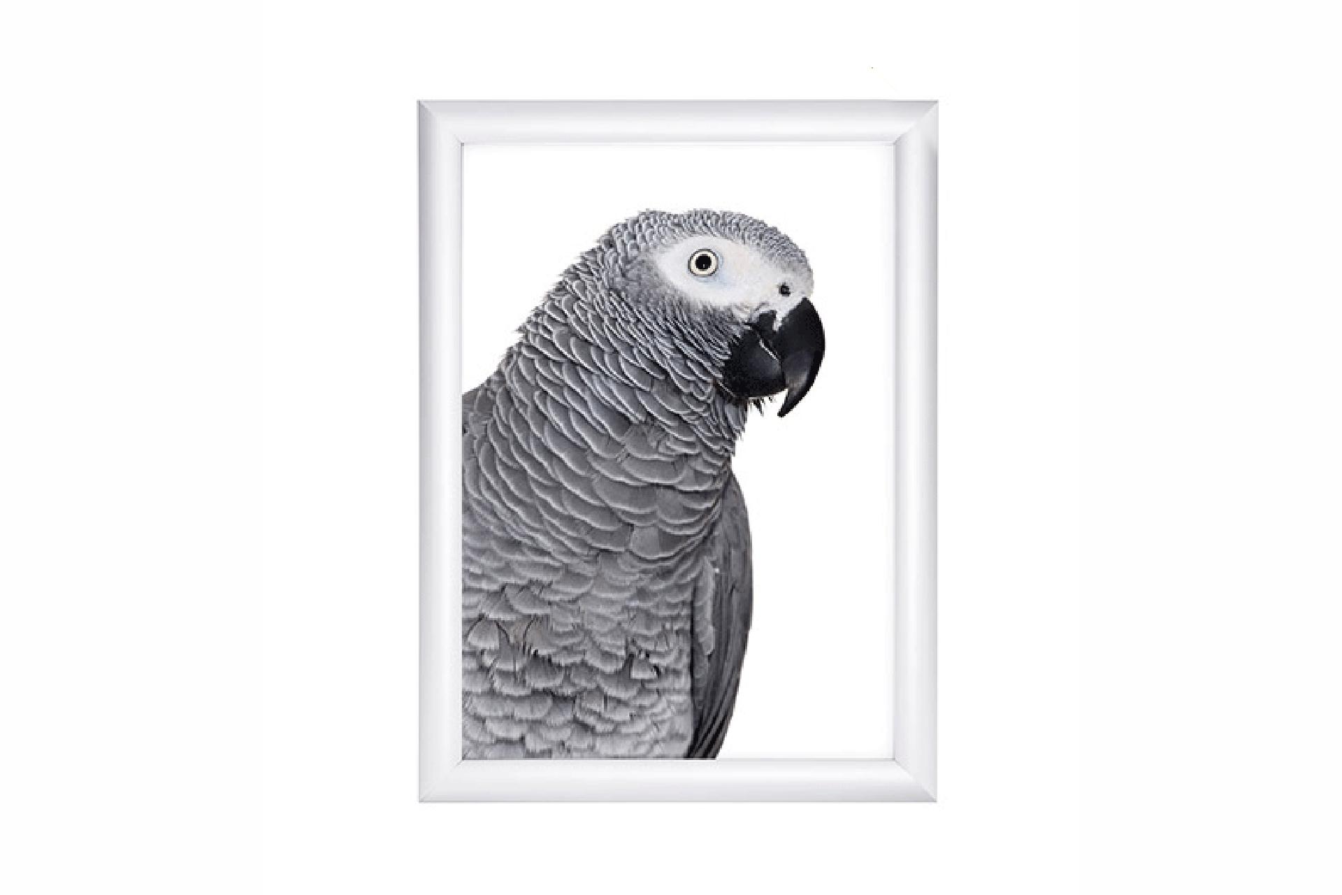 Foto: profiwelt PROdisplay Snap Frame TV-4 - A1